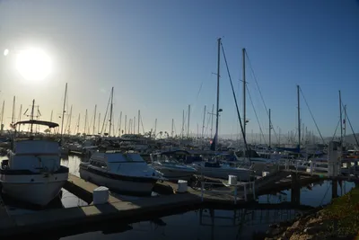 DSC_7226 (Large).JPG